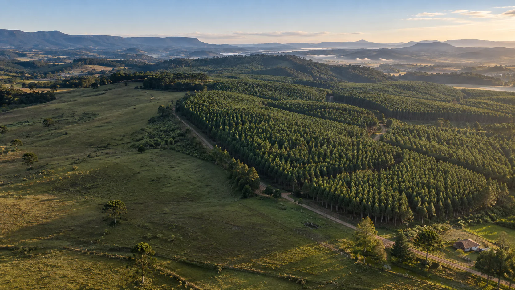 Área rural e floresta no Planalto Norte